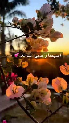 صورة معاينة: صباح الخير🥀✨️....