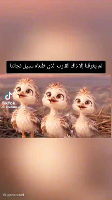 صورة معاينة: فيديو من كل يوم حديث