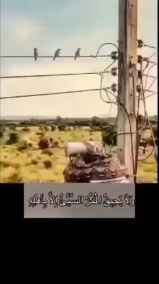 صورة معاينة: اللهم امين يارب العالمين