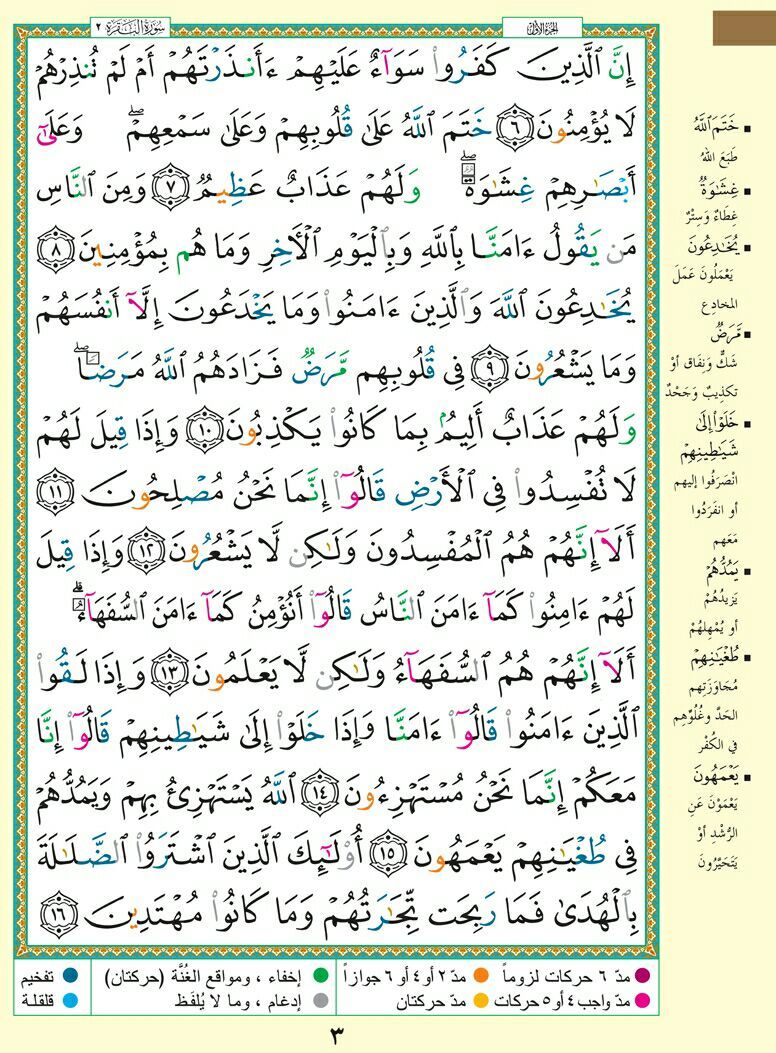 وسائط منشور القناة 1