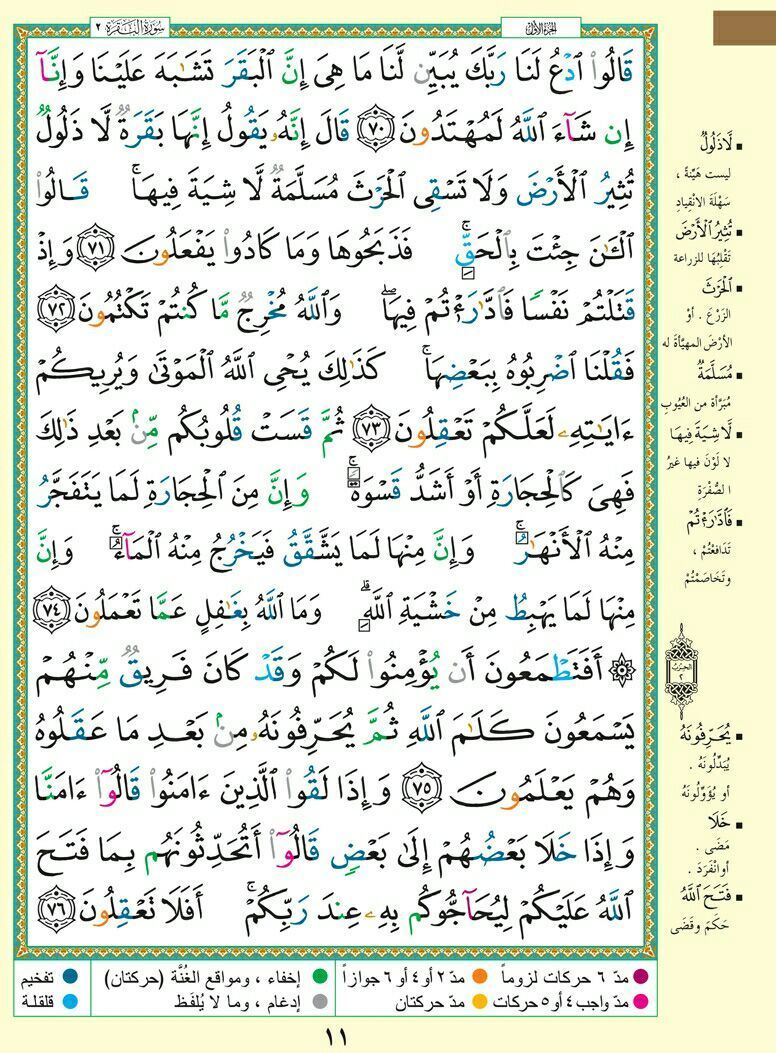 وسائط منشور القناة 1