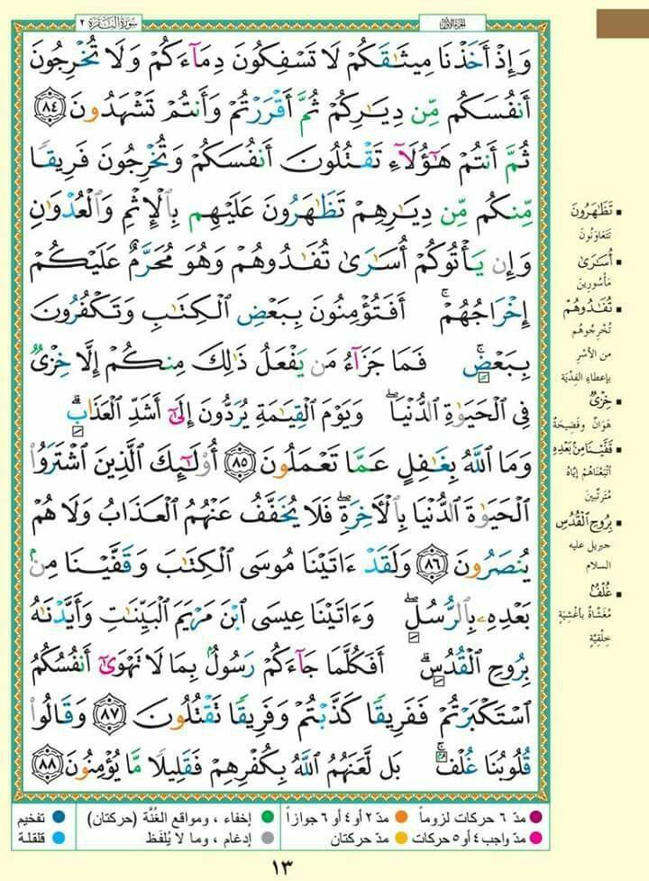 وسائط منشور القناة 1