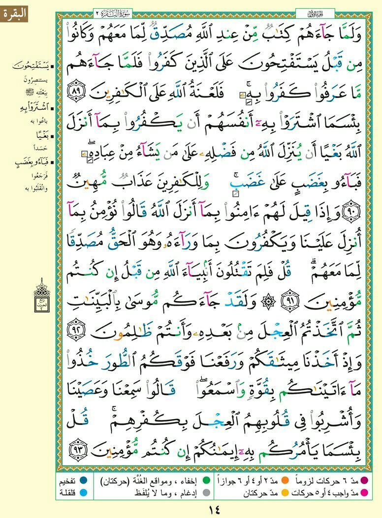وسائط منشور القناة 1