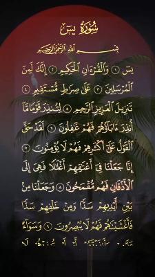 صورة معاينة: فيديو من 🇪🇬 أشرف 🇪🇬