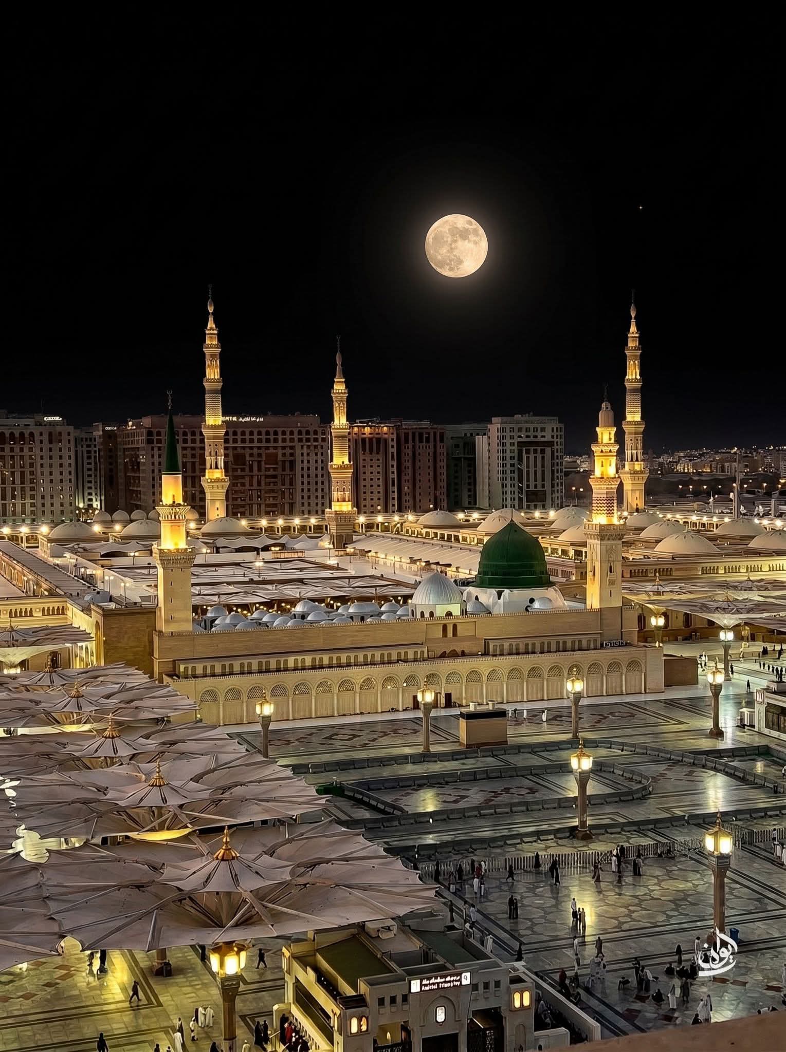 وسائط منشور القناة 1