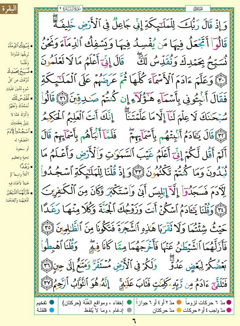 وسائط منشور القناة 1