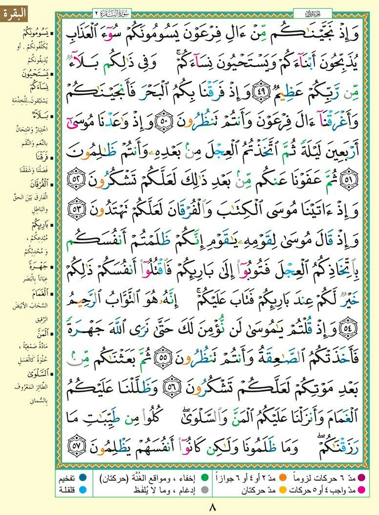وسائط منشور القناة 1
