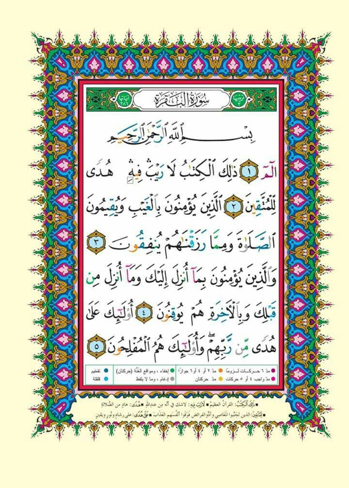 وسائط منشور القناة 1