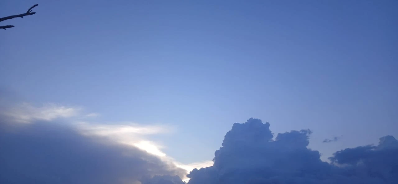 وسائط منشور القناة 1