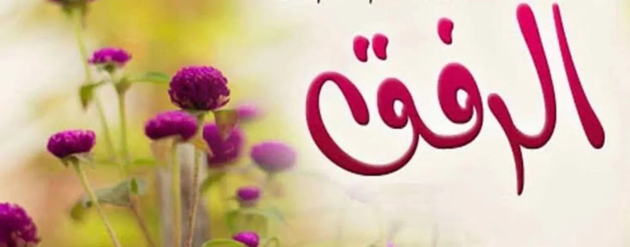 وسائط منشور القناة 1