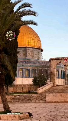 صورة معاينة: فيديو من mohamed lamine benr