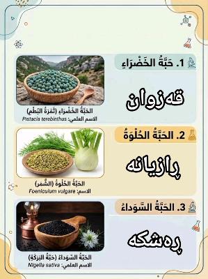 صورة معاينة: #تعلم_اللغة_العربية #تعلم_اللغة_الكردية #فەرهەنگی_کوردی #فەرهەنگی_الجامع